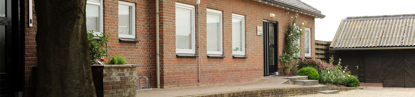 bittemann_home_web_balk_2